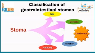 Stoma  Gastrointestinal stoma classification  Ileostomy  colostomy  stoma education series [upl. by Brenda96]