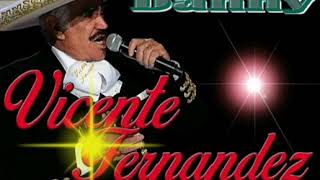 Vicente Fernandez Top 10 Boleros Rancheros [upl. by Clynes616]