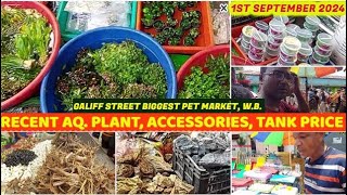 Recent Aquarium Plant amp Accessories Priceএককোয়ারিয়াম প্লান্ট প্রাইস Galiff Street Market010924 [upl. by Yvi175]