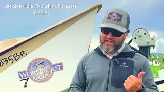 Jackson Hole Fly Fishing Forecast 6123 [upl. by Irah]