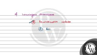 During gamete formation the enzyme recombinase participates during [upl. by Marienthal935]