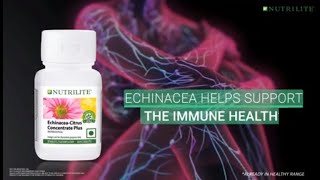 NUTRILITE® Echinacea citrus Concentrate Plus [upl. by Narahs]