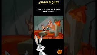 Por Qué el COYOTE NUNCA HABLA Bugs Bunny Revela la Verdad Oculta 🐰🤔🔍 [upl. by Jemmie]