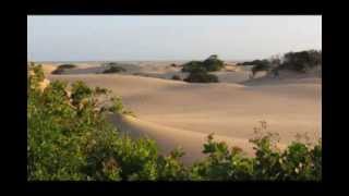 Dunas Douradas em Alagoas  PiaçabuçuAL [upl. by Cordeelia]