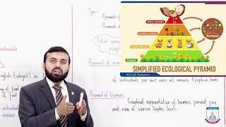 Class 10  Biology  Chapter 16  Lecture 3 Ecological pyramids amp Biogeochemical  Allied Schools [upl. by Donal]