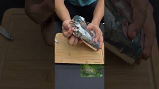 Making sausage on fire in nature PART 1 camping worldsnaturalwonders sausage [upl. by Cristy]