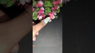 striping tape nail art nails nails viralsong youtube feed nail shortsfeed new nailart yt [upl. by Aicak972]