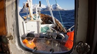 Breisund  Auf Dorschfang vor den Lofoten [upl. by Laine]