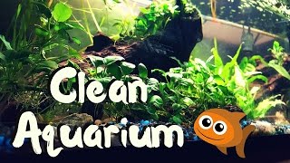 Best tool to do water changes and clean gravel  Aquarium Gravel Vacuum [upl. by Aphrodite]