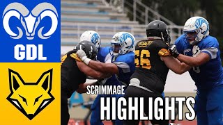 Borregos GDL vs Zorros CETYS Highlights  Scrimmage  Pretemporada Liga Mayor ONEFA 2024 [upl. by Woolcott]