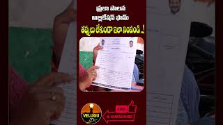 Praja Palana Application Form Fill Up Process youtubeshorts  Congress Six Guarantees velugutv [upl. by Heywood18]