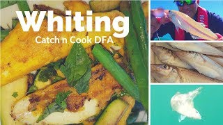 CATCH N COOK WHITING FILLETS [upl. by Mailliwnhoj]