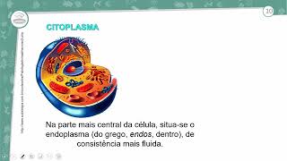 231  CITOPLASMA DAS CÉLULAS PROCARIONTES E EUCARIONTES  BIOLOGIA  1º ANO EM  AULA 2312023 [upl. by Aronos]