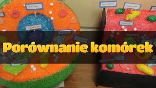 Cytologia Porównanie komórki zwierzęcej i roślinnej [upl. by Crystie]