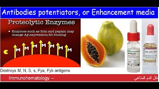 Lecture 115 Antibodies potentiators or Enhancement media [upl. by Llehsram507]