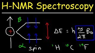 Basic Introduction to NMR Spectroscopy [upl. by Ettinger539]