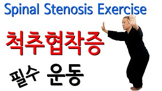 협착증에 좋은 운동 8가지 척추협착증 교정 디스크 협착증 차이 Spinal Stenosis Exercise [upl. by Lleihsad565]