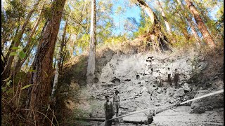 Hiking History and Old Florida Phosphate Mines [upl. by Asirahc]