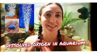 AQUARIUM OXYGENATION EXPLAINED [upl. by Aronek]