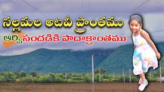 నల్లమల అటవీ ప్రాంతంలో Aarvi సందడి  Nallamala Forest lastvillage [upl. by Sitnerp]