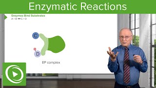 Enzymatic Reactions Types of Reactions amp Enzymes – Biochemistry  Lecturio [upl. by Masao]