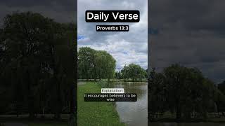 1 Verse 1 Minute Proverbs 133 daily bible verseoftheday spiritualgrowth proverbs shorts [upl. by Onileva]