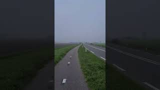 Provincialroad Hulst  Terneuzen N290 province of Zeeland [upl. by Ynffit]