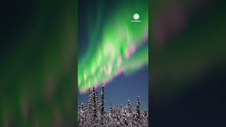 quotWatermelonquot Aurora Pink and Green Northern Lights Grace Alaska  AccuWeather [upl. by Mcmaster7]