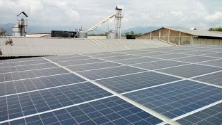 GRANJA AVÍCOLA SE PASÓ A ENERGÍA SOLAR ESTAS SON SUS VENTAJAS [upl. by Ackley]