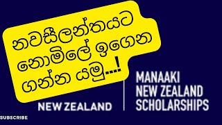 New Zealand Manaaki Scholarship Program 2024  Postgraduate amp Undergraduate full Scholarships [upl. by Lapotin]