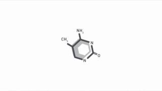 DNA methylation analysis by multiplexed reduced representation bisulfite sequencing RRBS [upl. by Assirrac470]