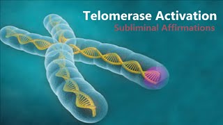 𝄞 Telomerase Activation  Telomere Rejuvenation for Eternal Youth V21  Classical Music [upl. by Christan]