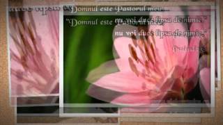 Calinut Domnul e Pastorul Meu 2014 [upl. by Lightfoot]