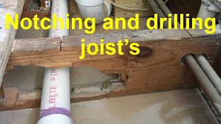 Notching and drilling joisteverything trainee plumbers gas engineer electricians and DIY must know [upl. by Kevyn800]