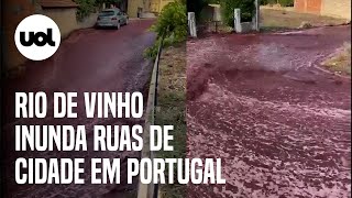 Rio de vinho inunda ruas de cidade em Portugal após depósito estourar veja vídeos [upl. by Eelitan625]