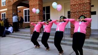 Spring 2015 Alpha Kappa Alpha Sorority Inc  New Member Presentation Lambda Delta [upl. by Ordnas790]