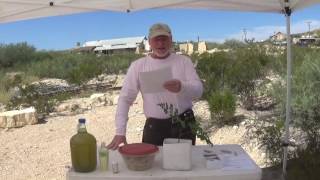 Moringa Presentation At The Terlingua TX quotGreen Scenequot Festival [upl. by Nnaeel603]