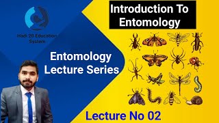 Introduction To Entomology  Phylum Arthropoda Character  Lecture No 02  Entomology  BS Zoology [upl. by Sanfred430]