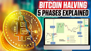 5 Phases of the Bitcoin Halving  Updated Ultimate Guide For 2024 [upl. by Anoed]