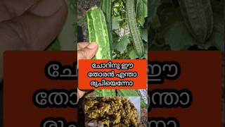 പത്തു മിനിറ്റിൽ രുചികരമായ ഞരമ്പൻ തോരൻ peechinga thorannjaramban thoranthoran recipeഞരമ്പൻ [upl. by Voorhis]