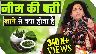 नीम की पत्ती खाने से क्या होता है  Neem Ki Patti Ke Ayurvedic Upchar Bysantindradevjimaharaj [upl. by Peednus]