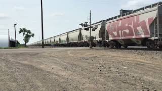 BNSF 6630 Leads Eastbound Grain Train towards Glyndon MN [upl. by Korwun222]