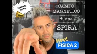 CAMPO MAGNETICO SPIRA spira percorsa da corrente II la fisica che ci piace [upl. by Yelnet319]