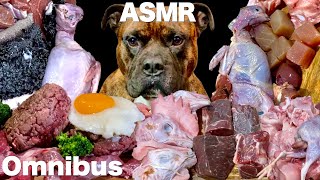 MUKBANG ASMR Dog eating Raw MeatsOmnibus 【American Bully】 [upl. by Linetta222]