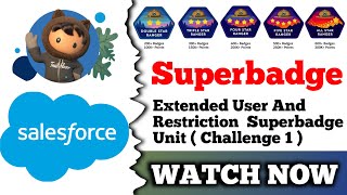 Extended User Access and Restriction Superbadge Unit  Salesforce  Challenge 1 [upl. by Mccormac]