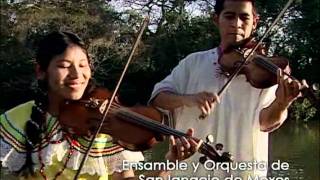 Ensamble Coro y Orquesta San Ignacio de Moxosdivx [upl. by Ahsiugal]