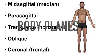 Body Planes  Quiz [upl. by Nosnarb]