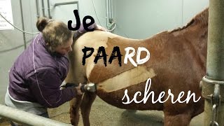 Howto Je paard scheren [upl. by Collar]