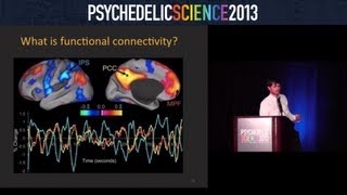 Brain Imaging Studies with Psilocybin and MDMA  Robin CarhartHarris [upl. by Bonns972]