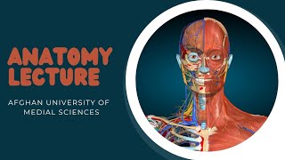 HARD PALATE AND SOFT PALATE PART 1  ANATOMY BY DR NISAR AHMAD SALAAR [upl. by Ecydnak102]